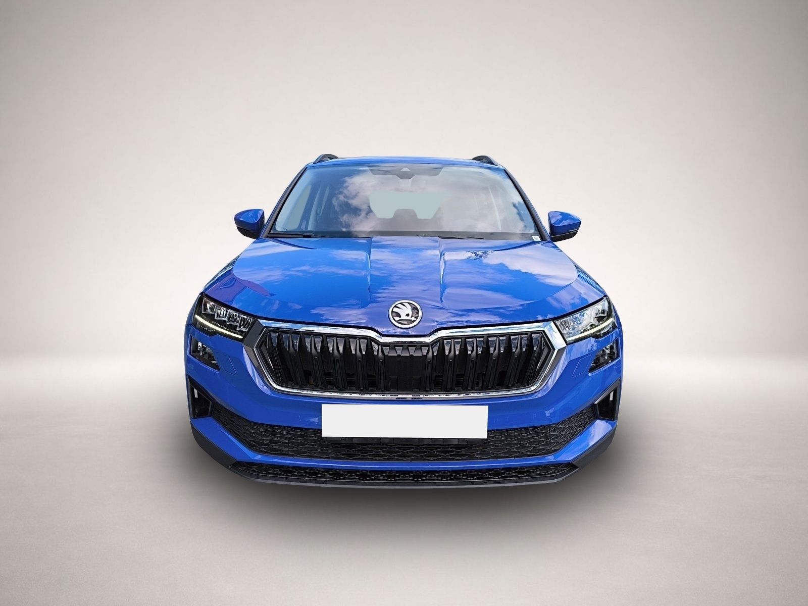 Bild 2 Skoda Karoq 2.0 TDI Tour NAVI STANDH ACC PDC DAB