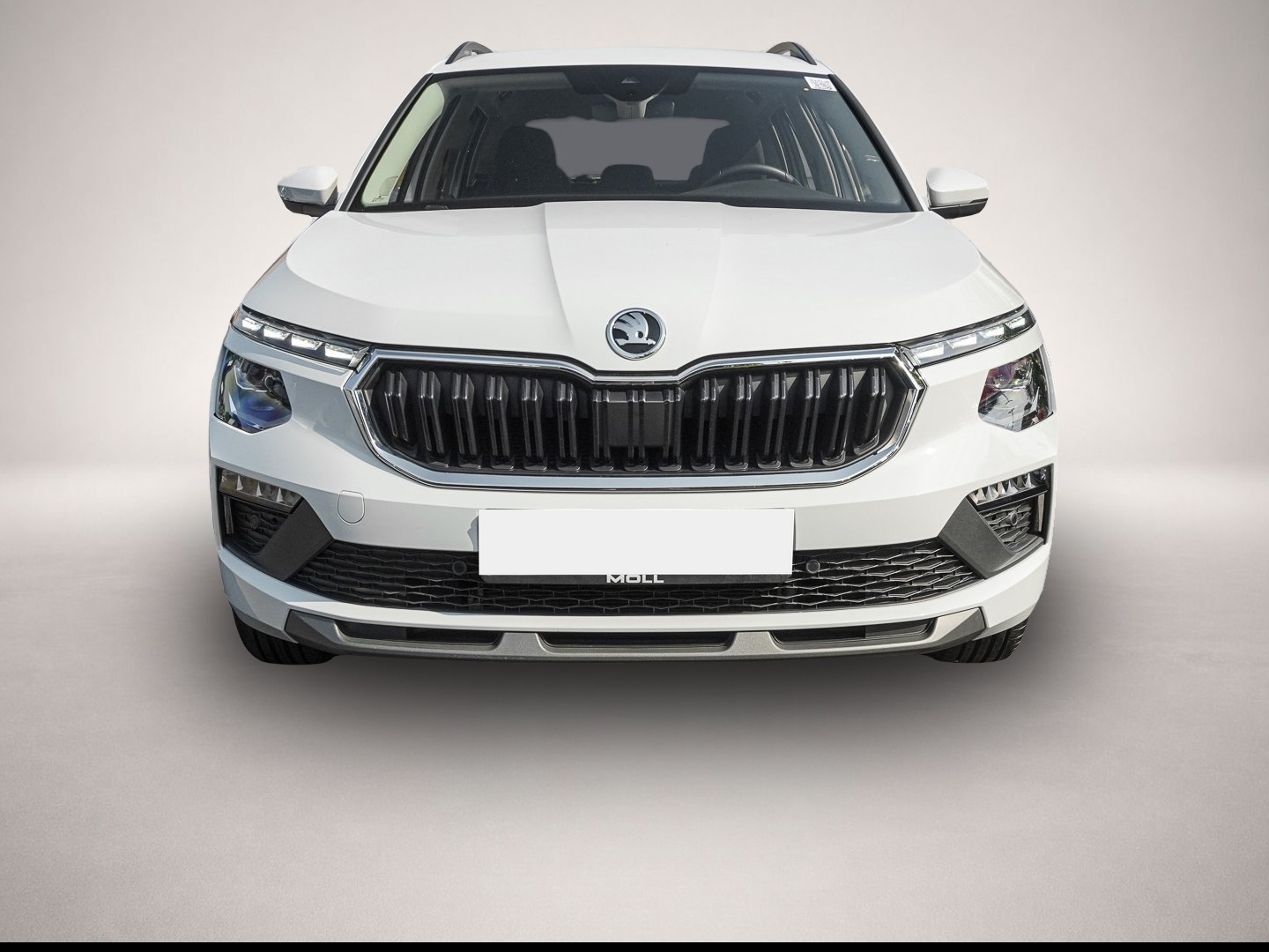 Bild 2 Skoda Kamiq 1.0 TSI DSG Selection AHK LM KESSY