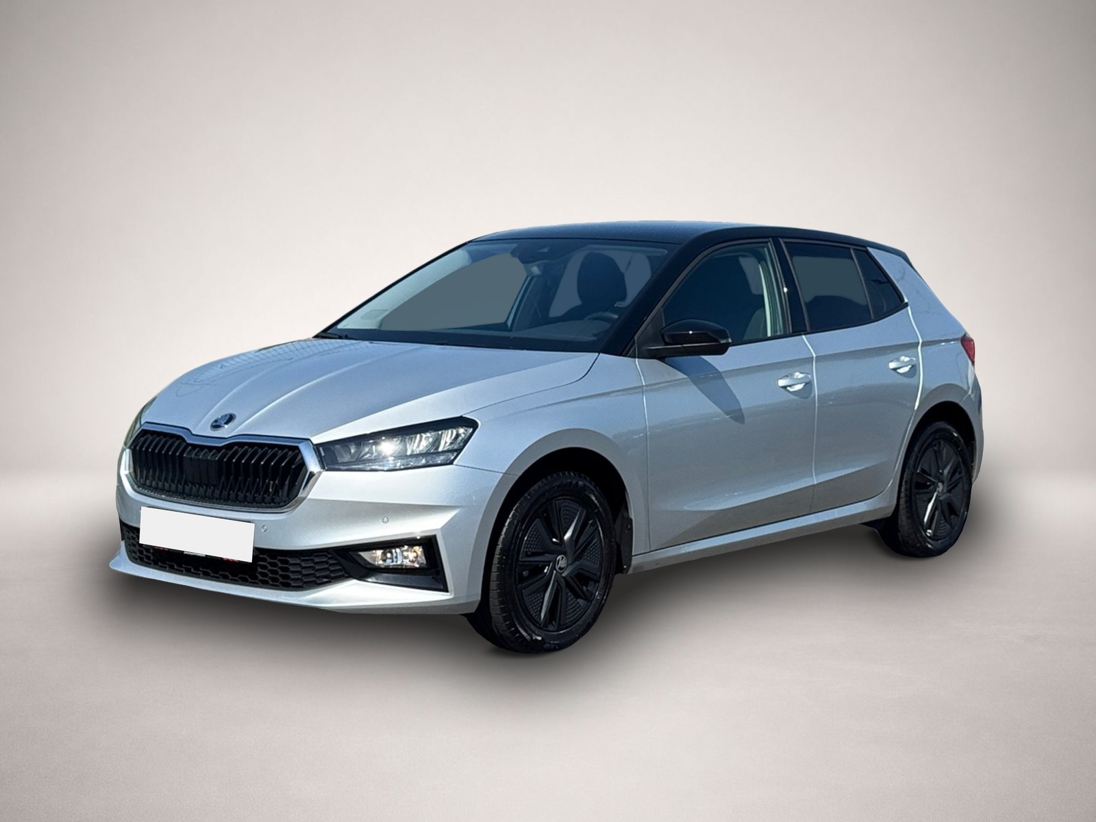 Bild Fabia Skoda