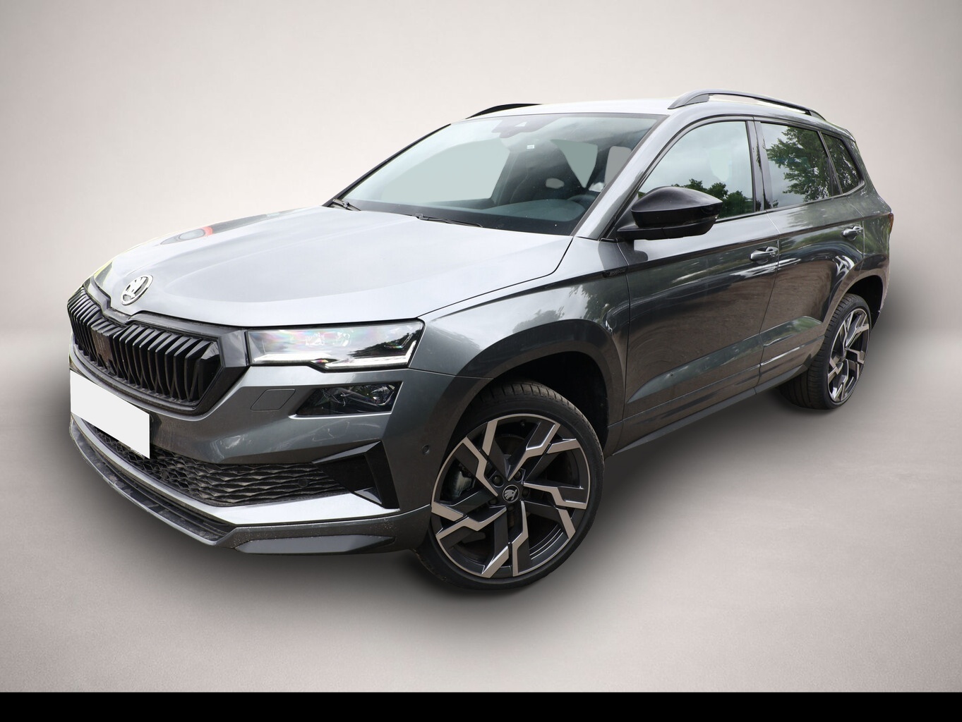 Bild Karoq Skoda