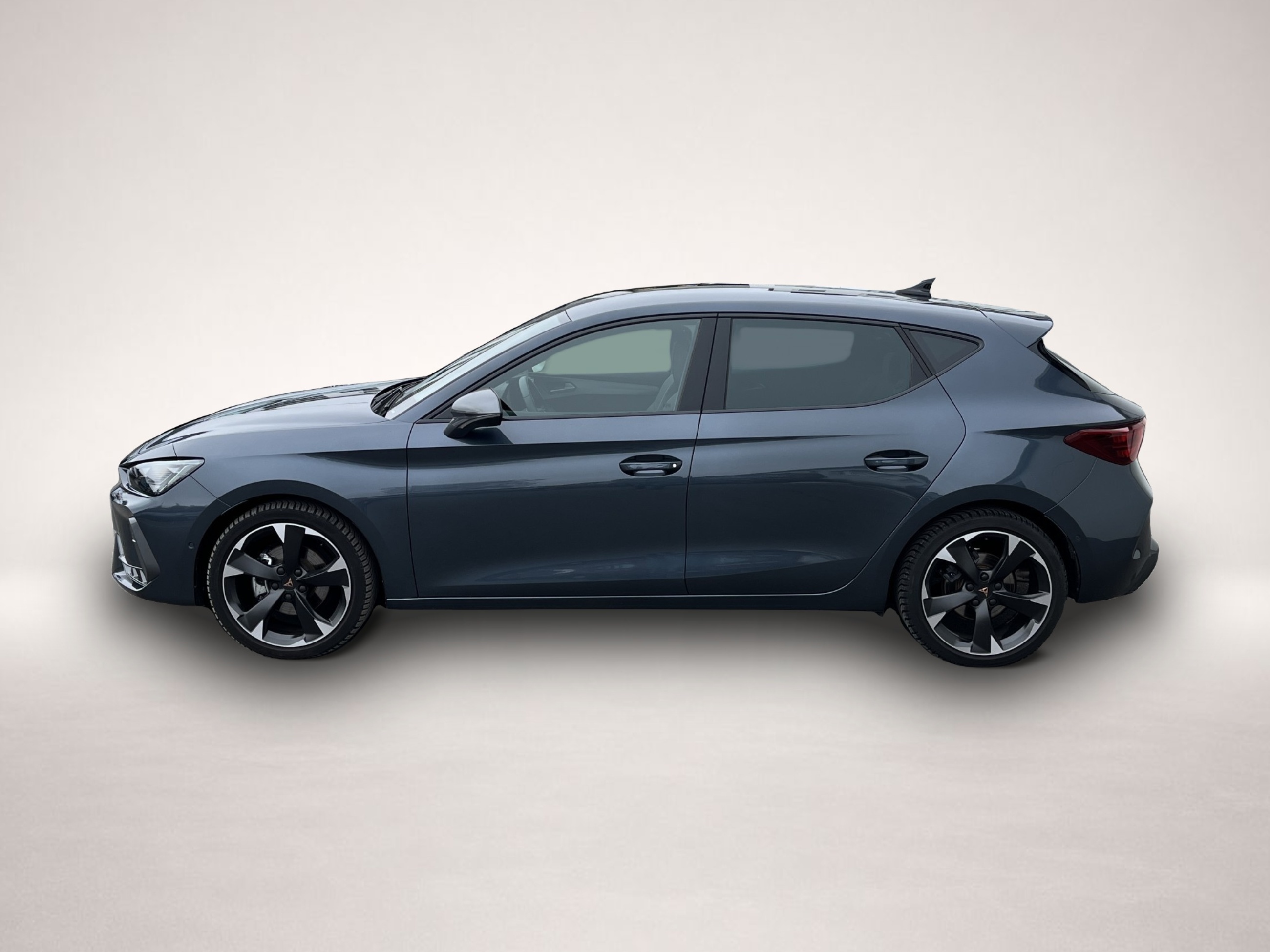 Fotografie Cupra Leon 2.0 TDI DSG Navi ACC LED RFK LR-HZG DigCock
