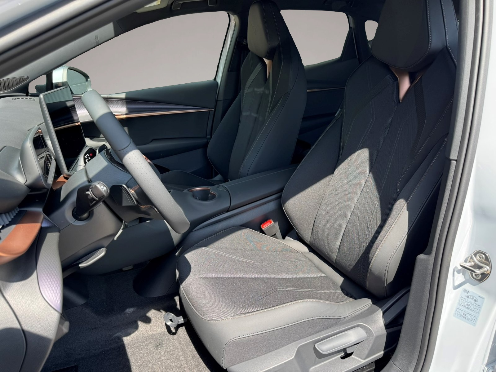 Bild 3 Cupra Tavascan VZ 82 kWh MATRIX-LED NAVI WÄRMEPUMPE AC