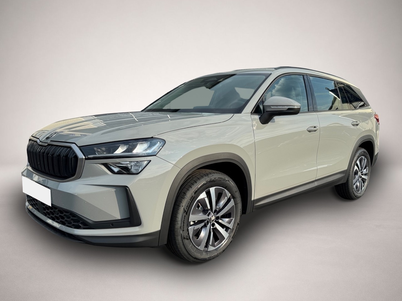 Bild Kodiaq Skoda