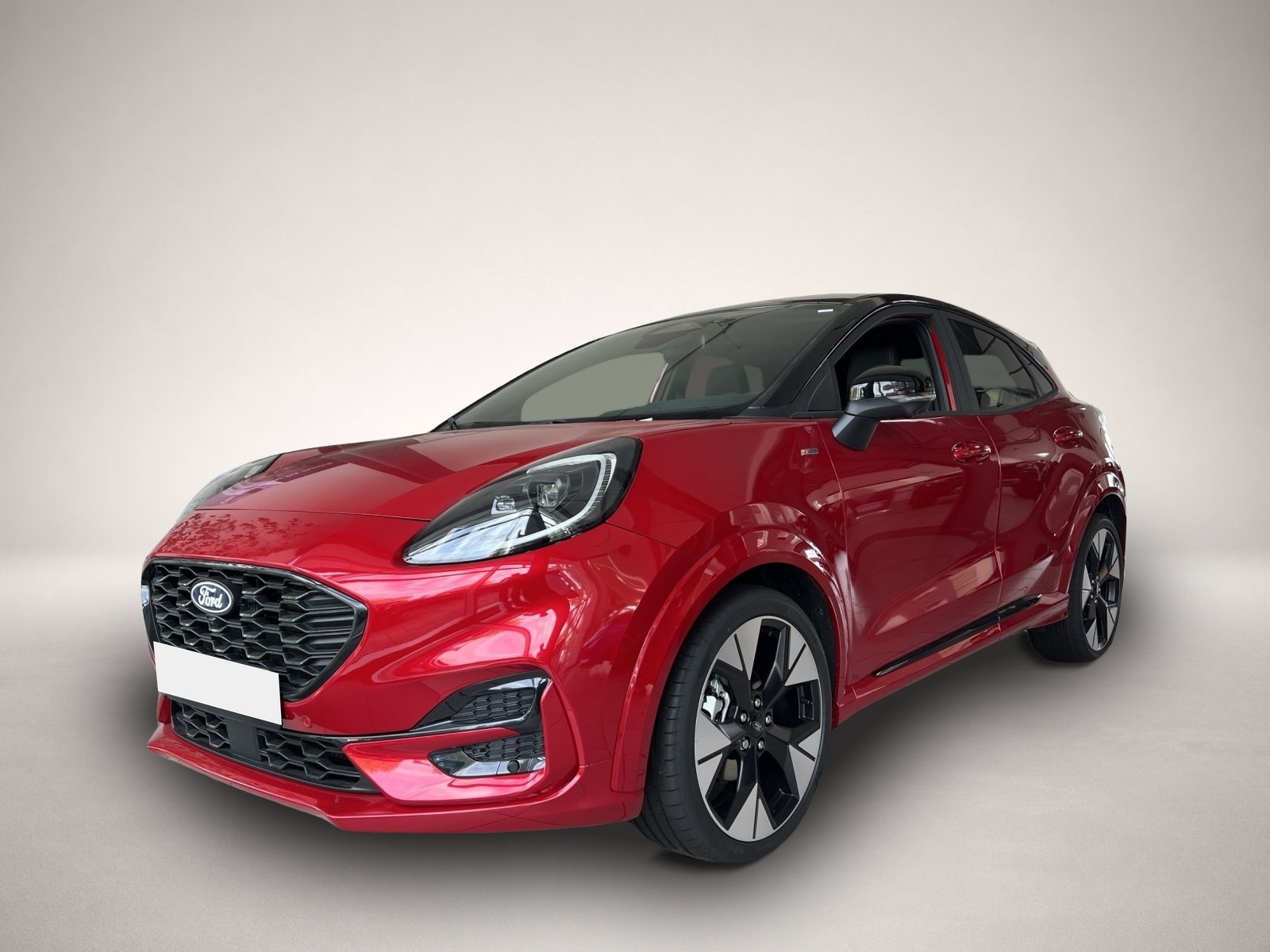 Bild Puma Ford
