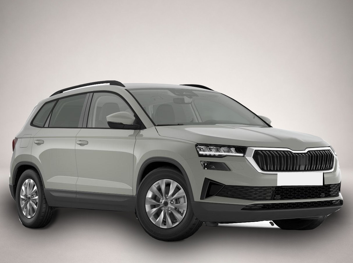 Bild Karoq Skoda