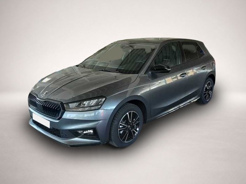 Bild 1 Skoda Fabia