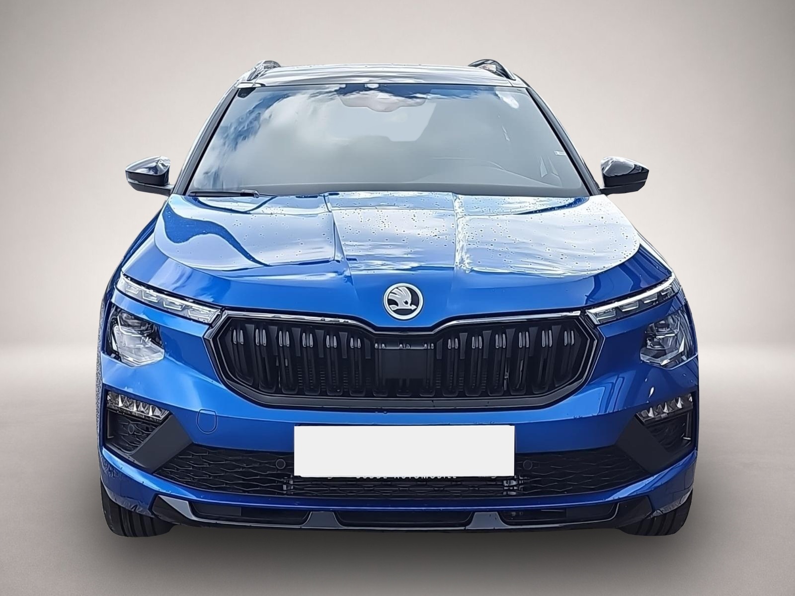 Bild 2 Skoda Kamiq 1.5 TSI DSG Monte Carlo Matrix Navi AHK