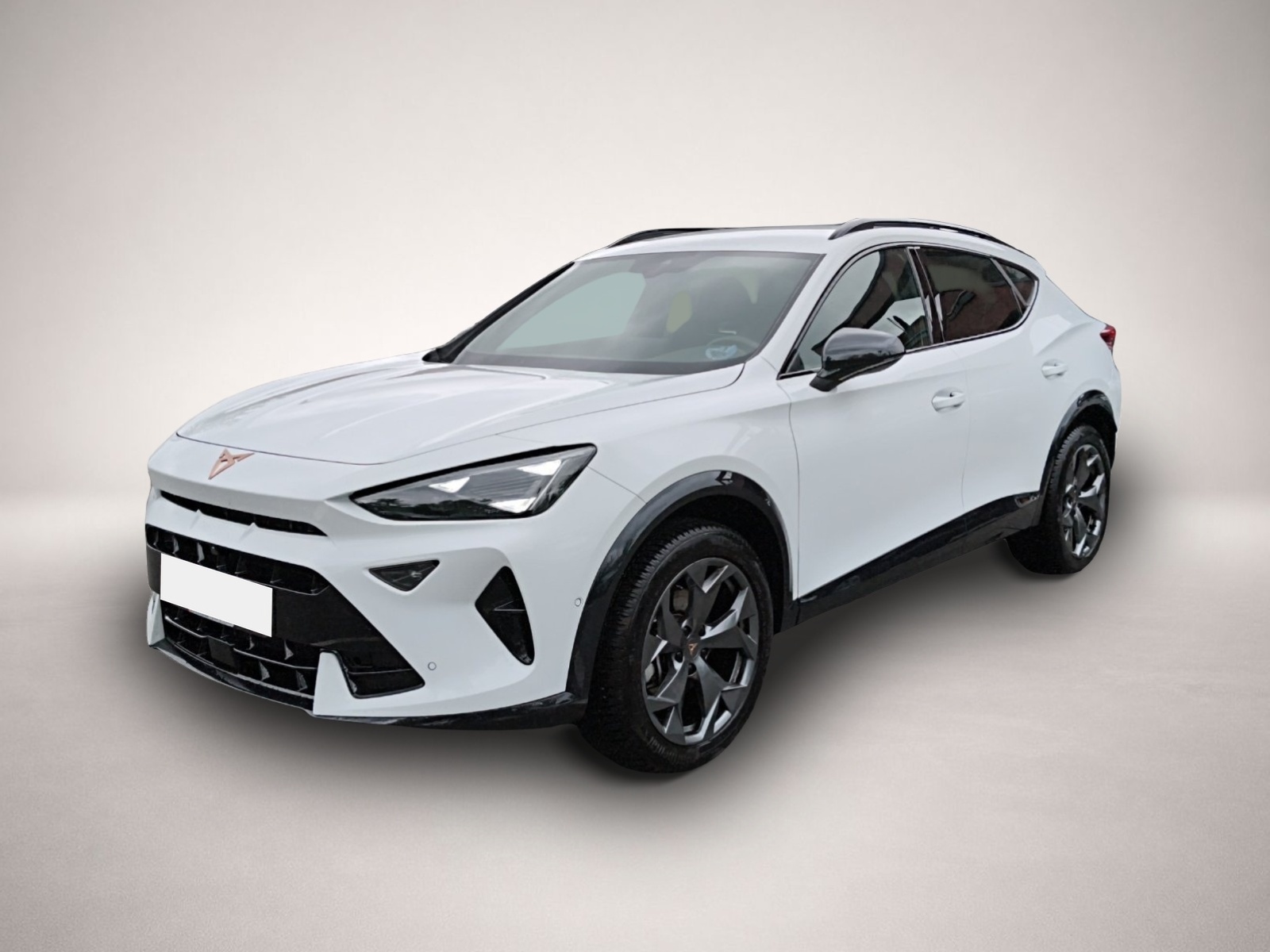 Fotografie Cupra Formentor 1.5 eTSI DSG 5-J-G NAVI ACC KESSY 18LM