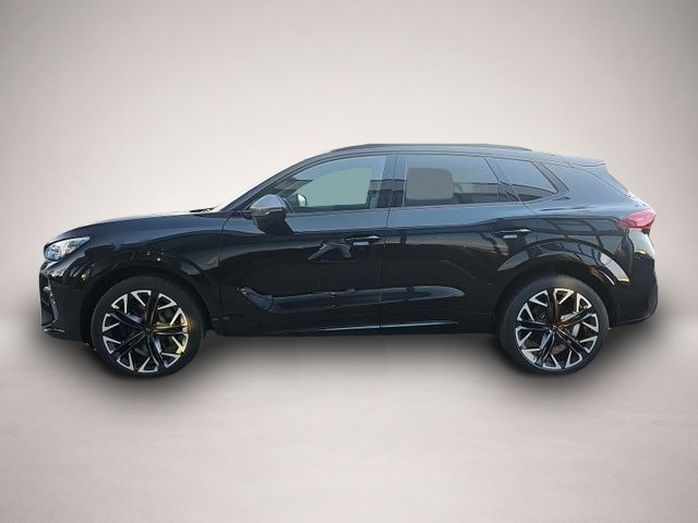 Bild 3 Cupra Terramar 2.0 TSI 195 kW 4Drive VZ Terramar VZ 2.0 TSI DS.