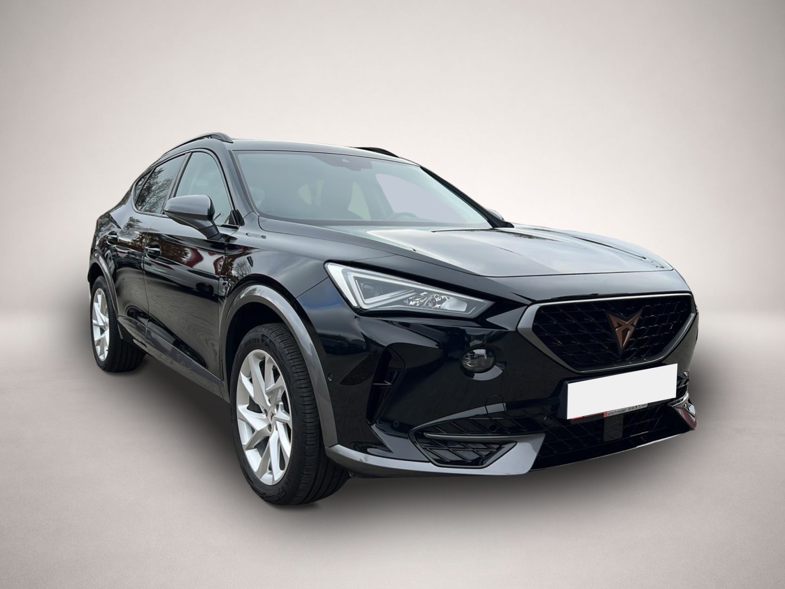 Fotografie 7 des Cupra Formentor 1.5 TSI AHK EL. HECKKLAPPE KAMERA LED