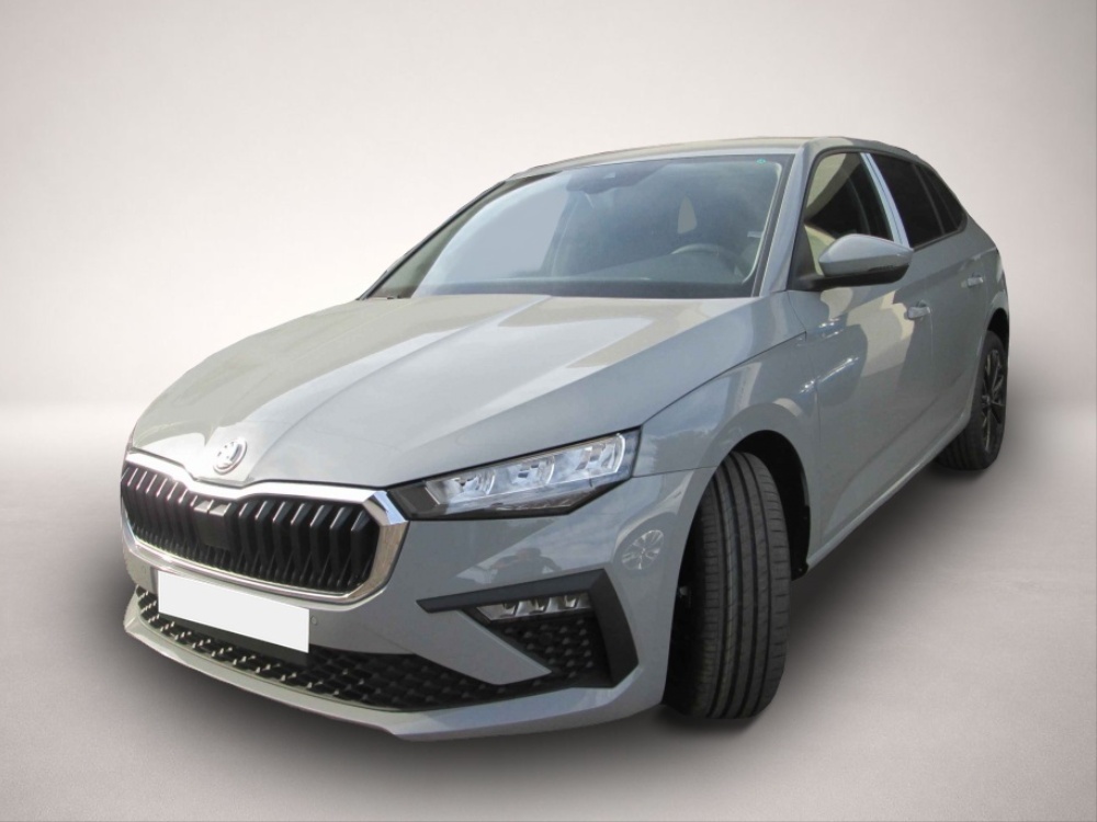 Bild Scala Skoda
