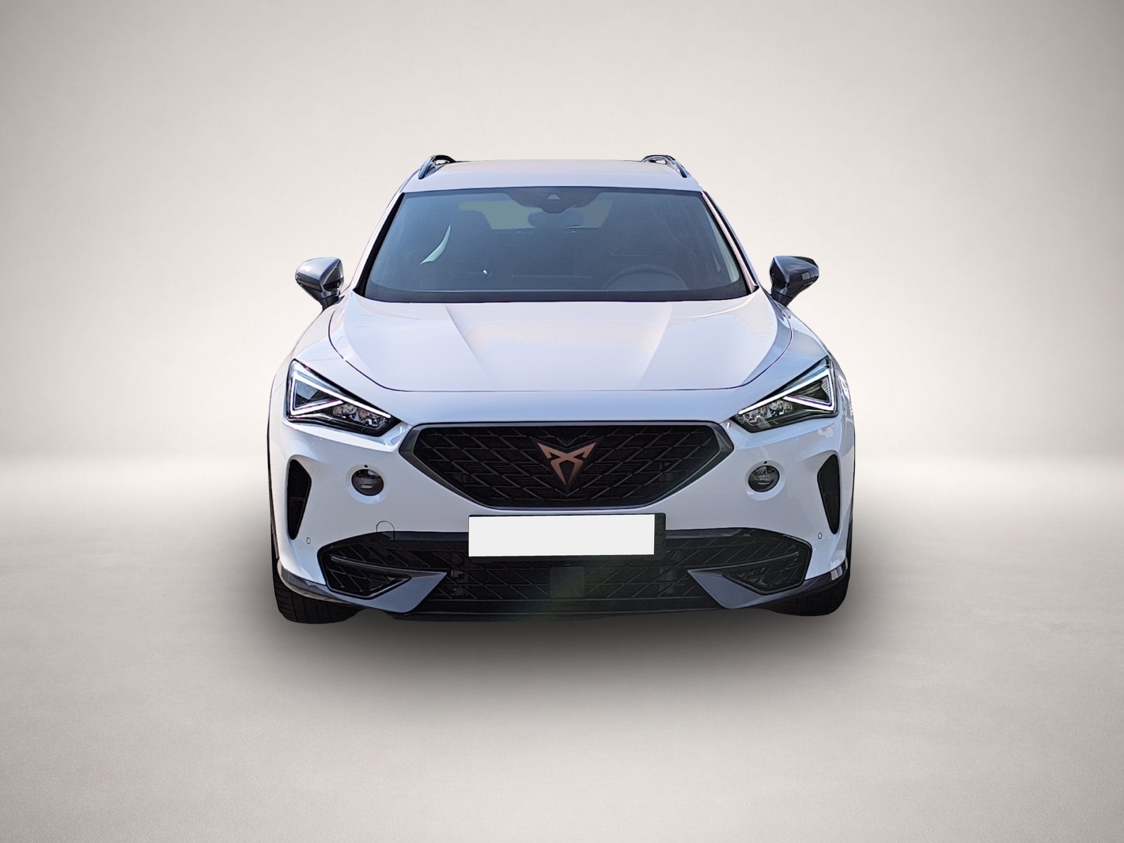 Bild 2 Cupra Formentor 2.0 TSI DSG 4Drive VZ