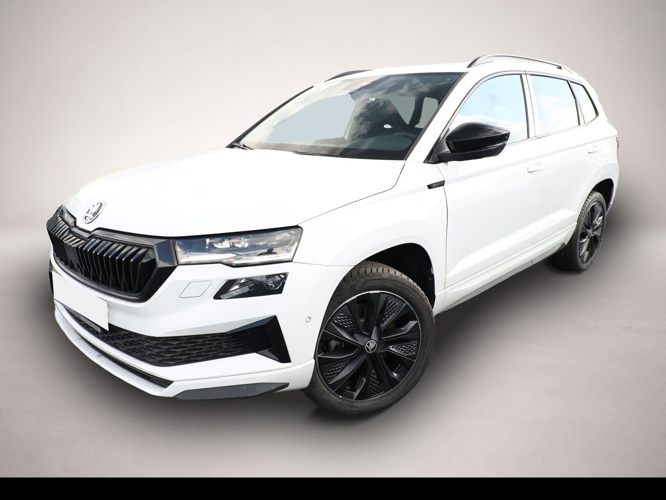 Bild 1 Skoda Karoq DSG Sportl Matrix Nav 360 Canton ACC Kessy