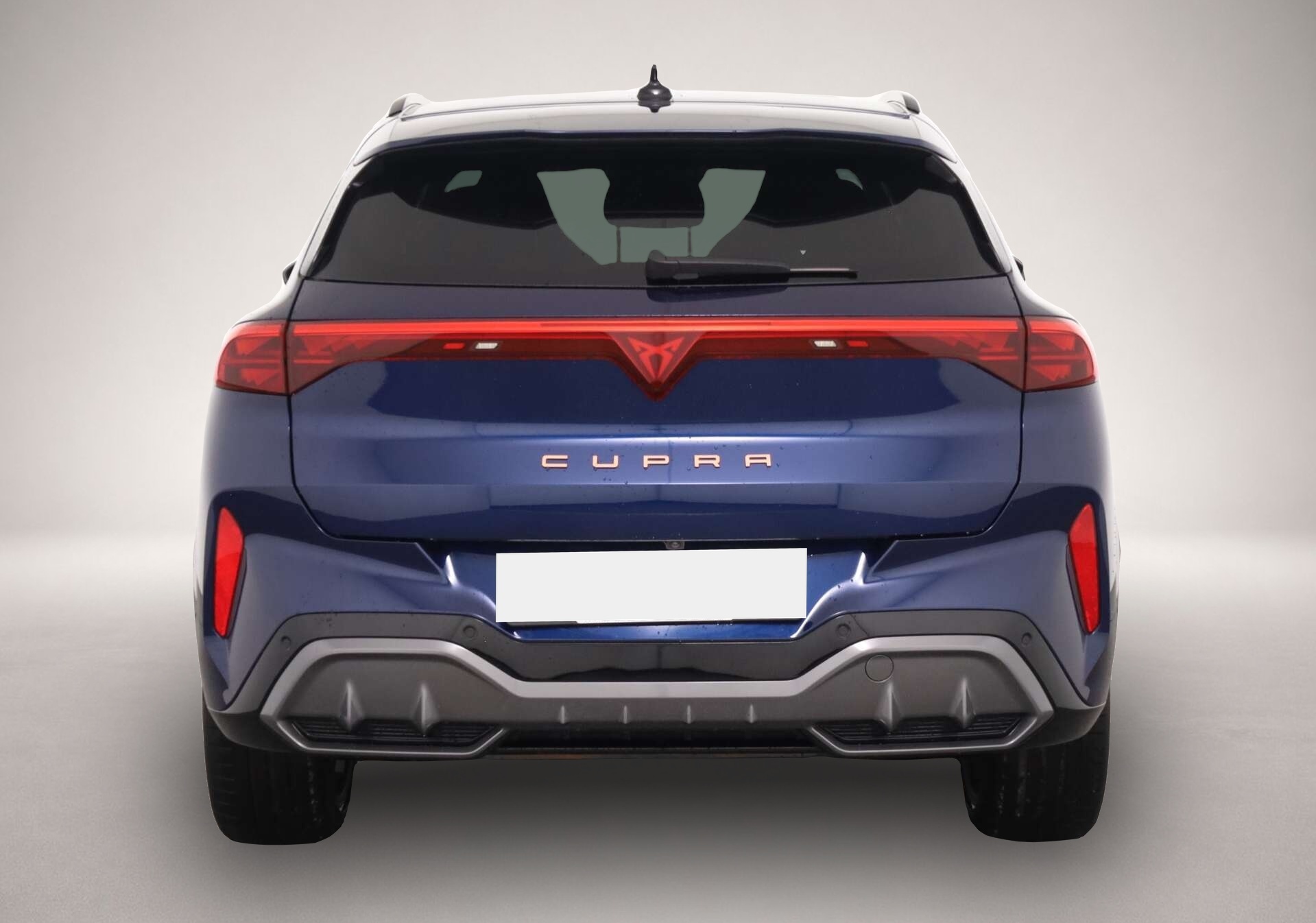 Bild 5 Cupra Terramar 2.0 TSI