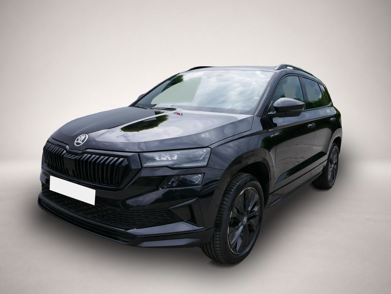 Bild Karoq Skoda