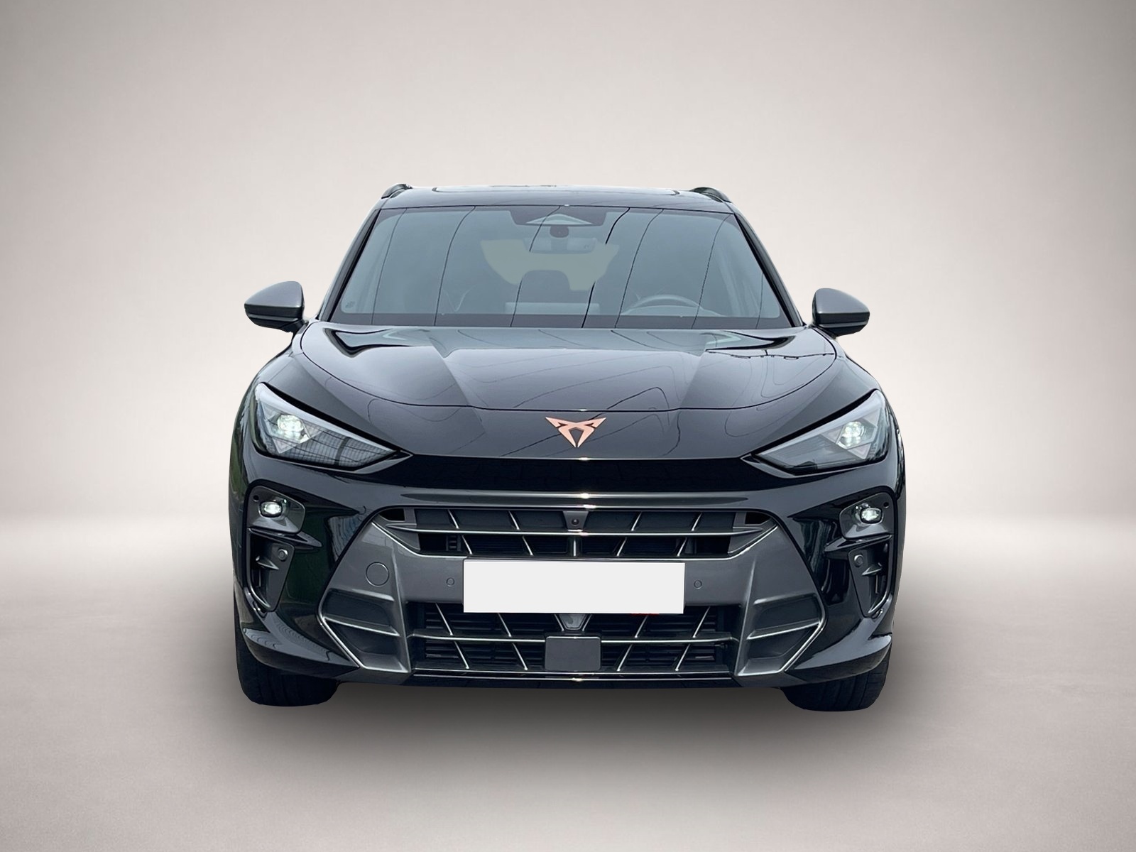 Bild 2 Cupra Terramar VZ 4Drive TSI DSG|AHK|PANO|360°|HEAD-UP