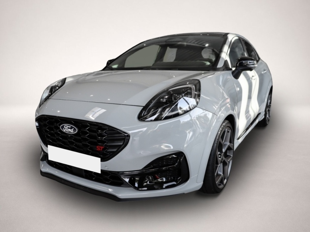 Bild Puma Ford