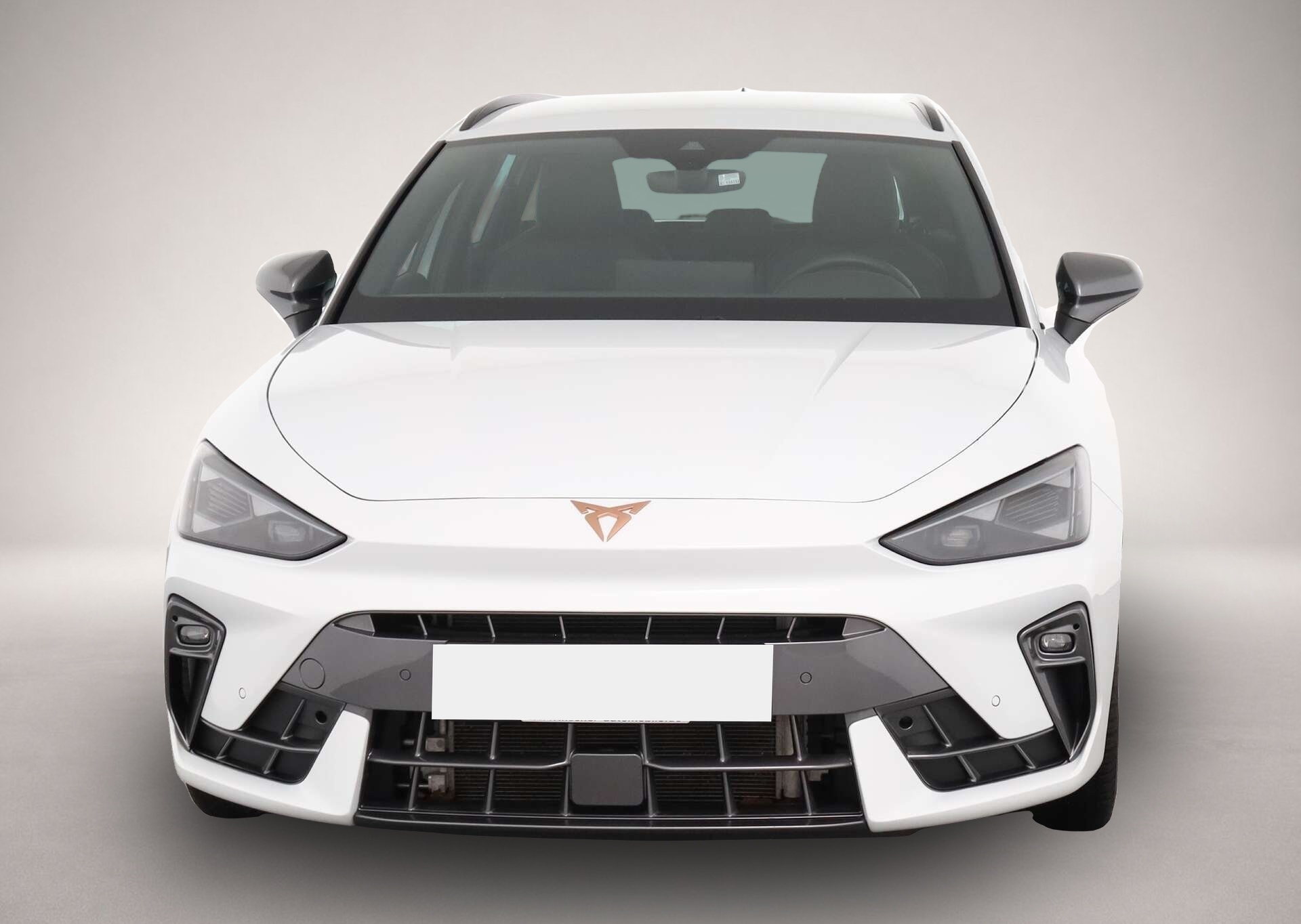 Bild 2 Cupra Leon Sportstourer 2.0 TDI