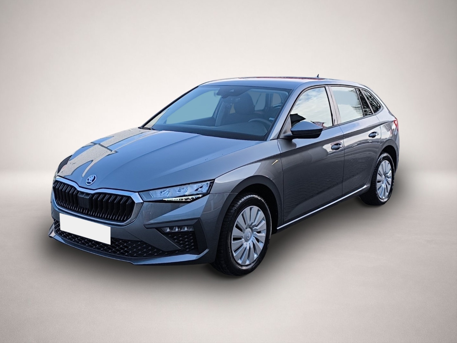 Bild Scala Skoda