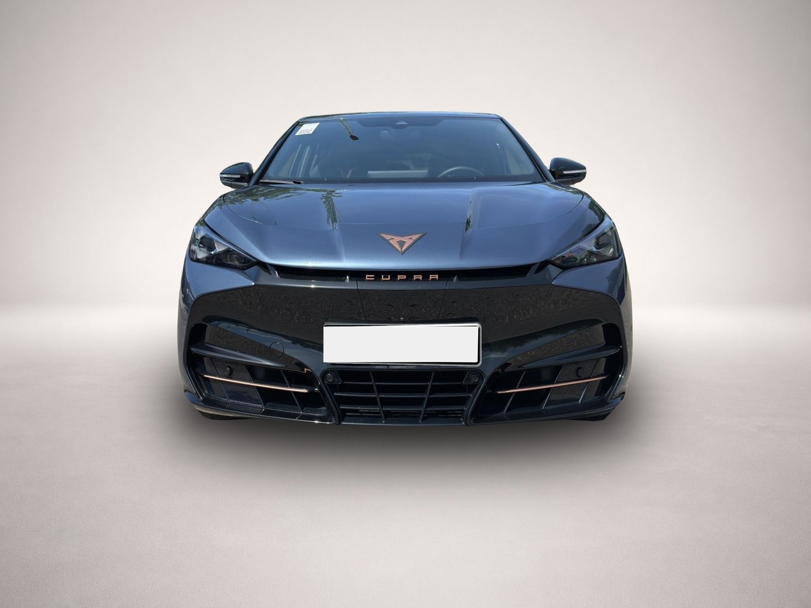 Fotografie 2 des Cupra Tavascan AB369EUR Endurance ALCANTARA NAVI 360SH
