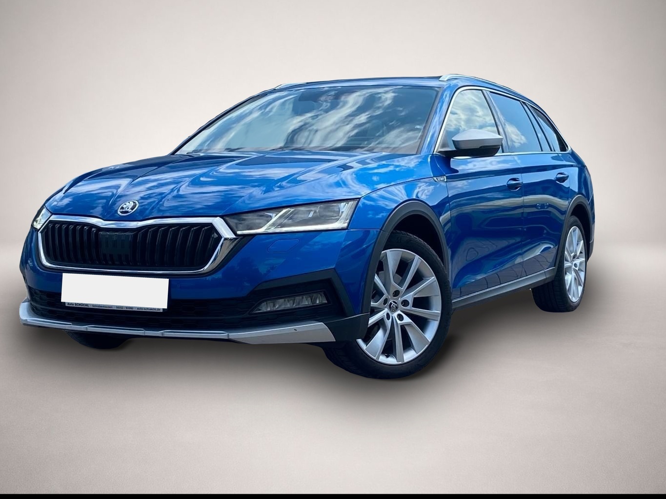 Bild Octavia Skoda