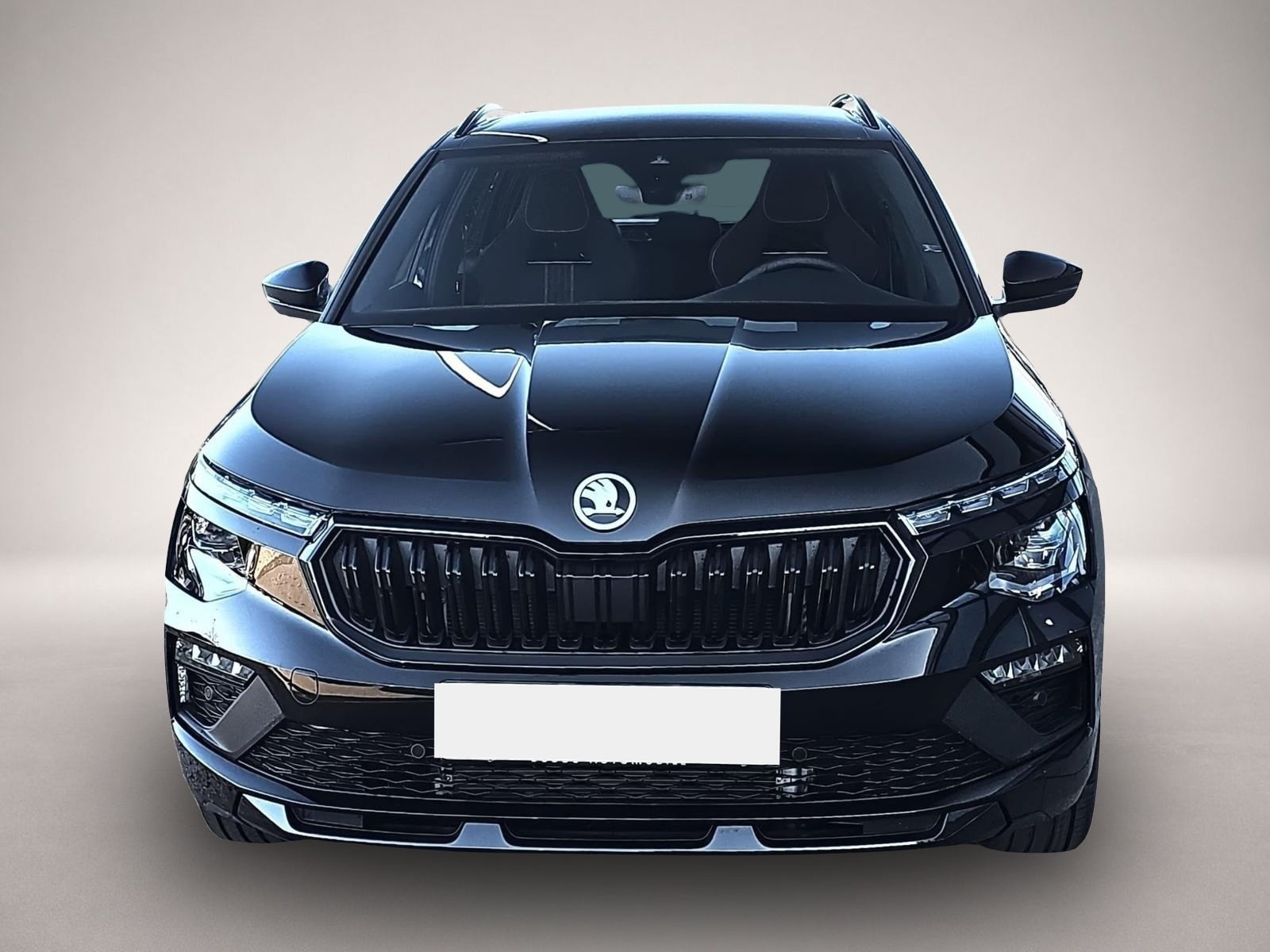 Fotografie 2 des Skoda Kamiq 1.5 TSI DSG Monte Carlo Matrix Navi AHK