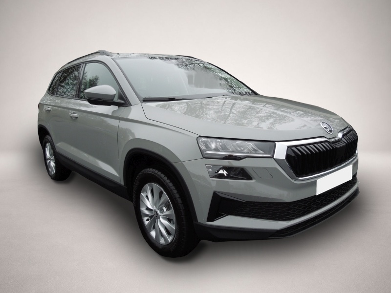 Bild 1 Skoda Karoq 1.5TSI DSG Classic/AHK/LED/Sitzheizung/Kam
