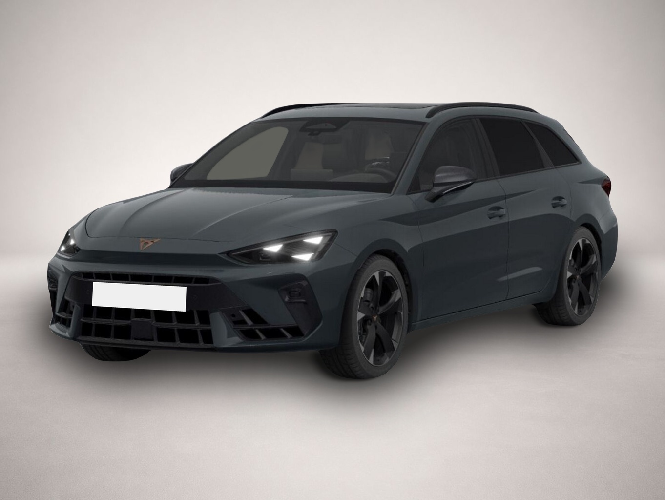 Bild Leon Cupra