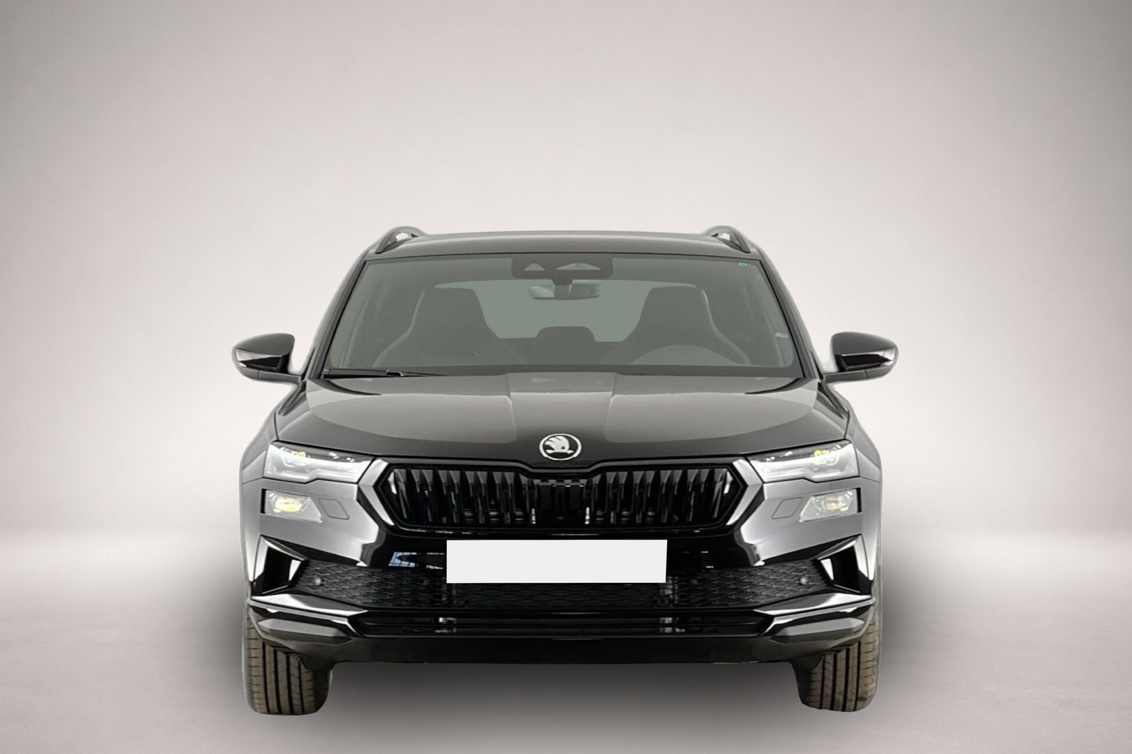 Bild 2 Skoda Karoq Sportline 1,5 TSI ACT DSG