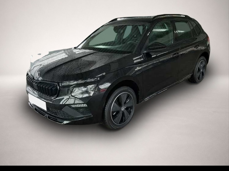Bild Kamiq Skoda