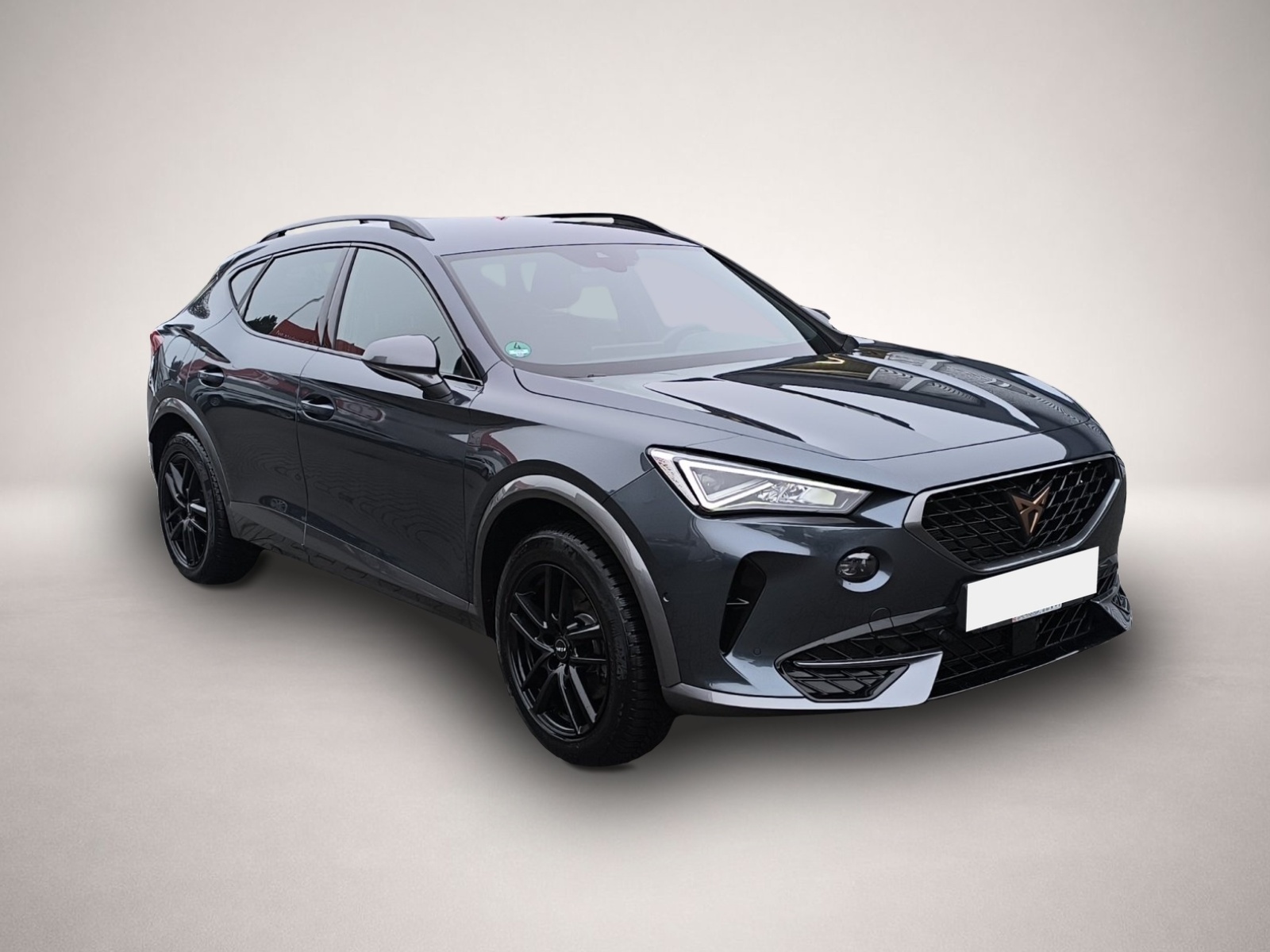Bild 3 Cupra Formentor 1.4 e-Hybrid DSG LED NAVI RFK