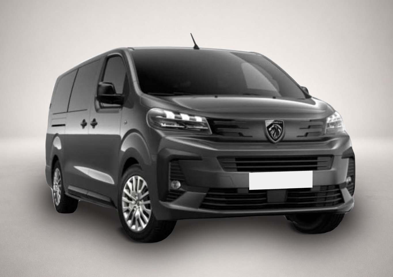 Bild Traveller Peugeot