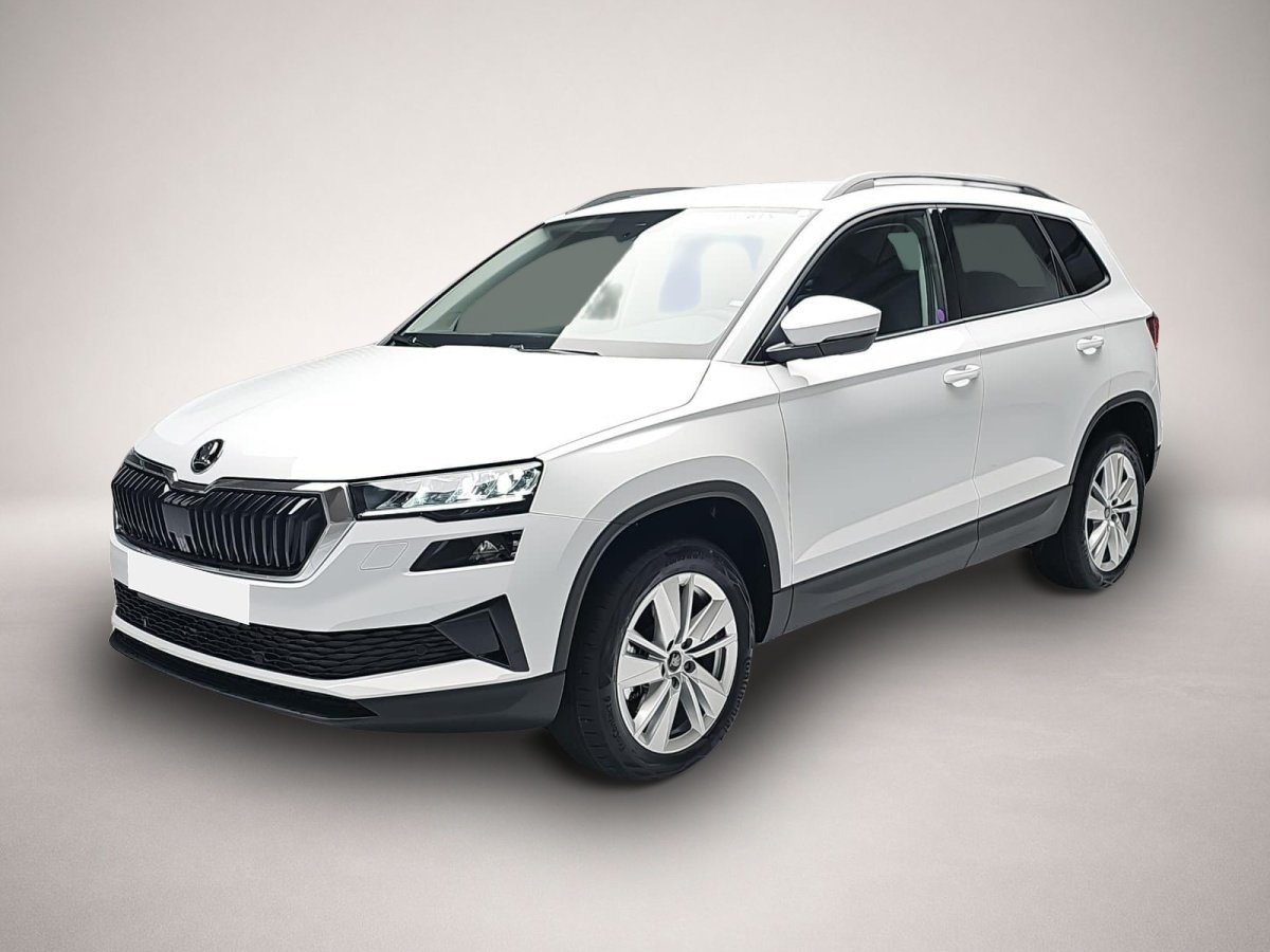 Bild Karoq Skoda