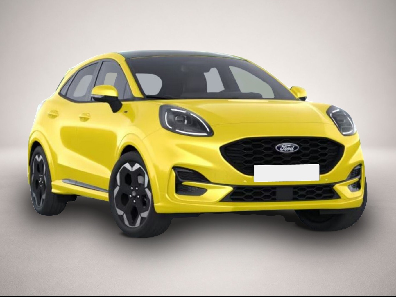 Bild Puma Ford