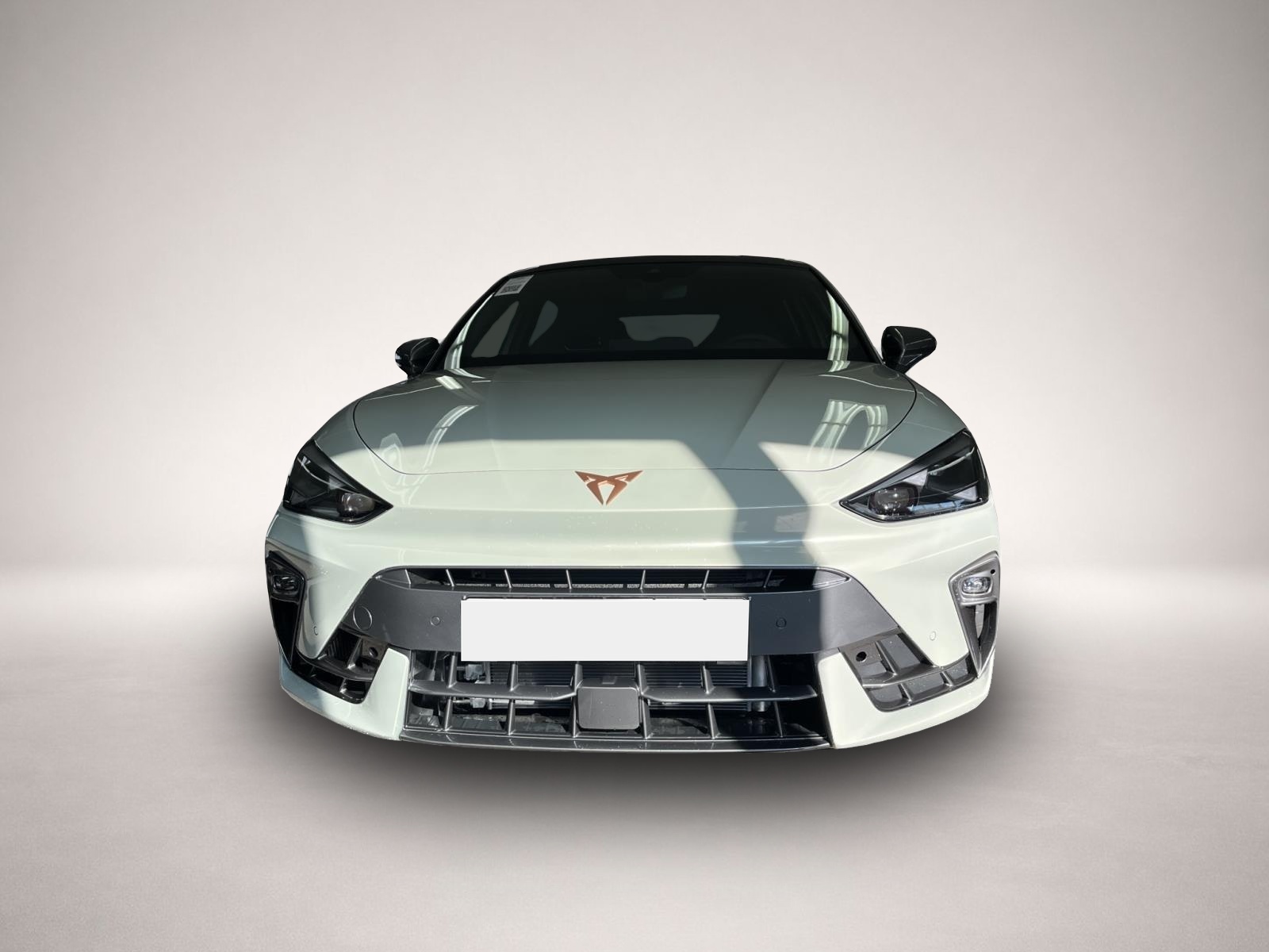 Fotografie 2 des Cupra Leon 2.0 TSI DSG PANO MATRIX 19 KAMERA