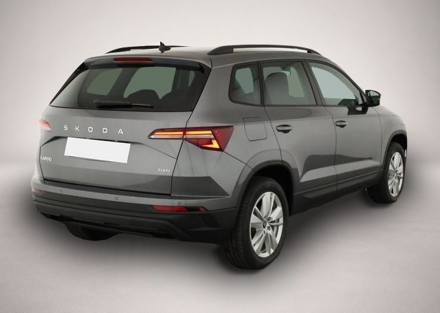 Bild Karoq Skoda