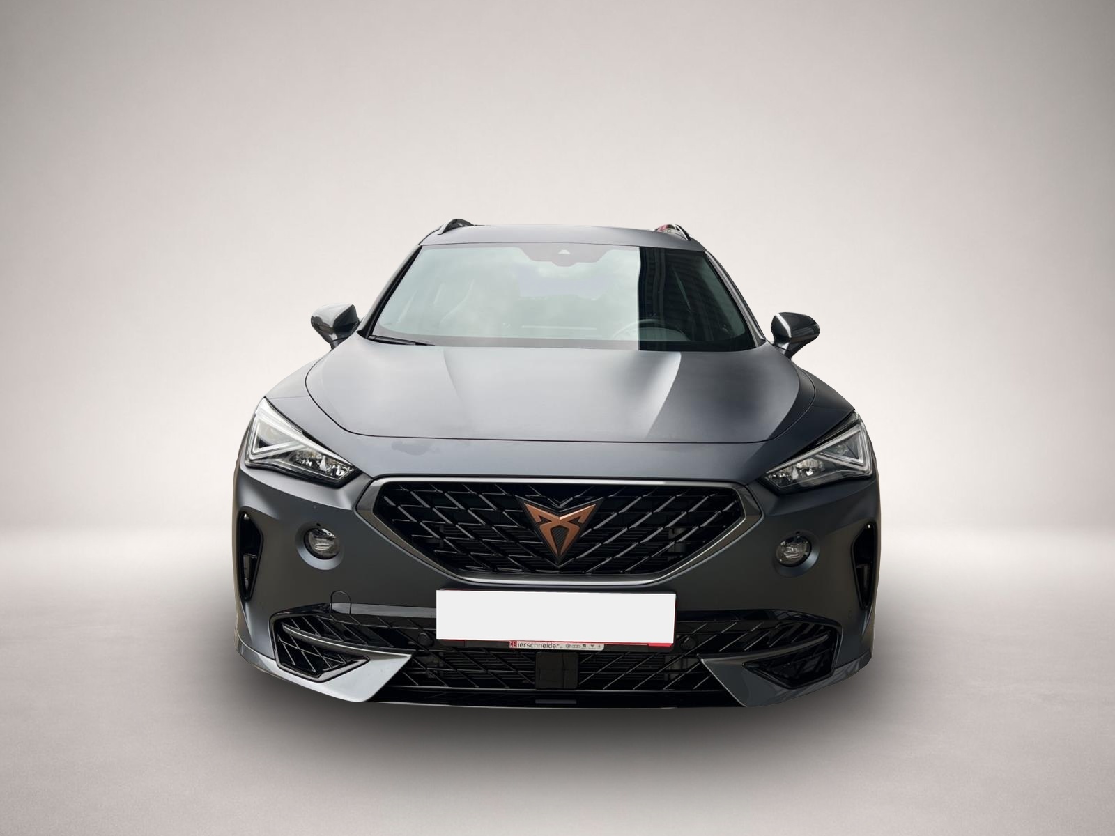 Bild 8 Cupra Formentor 2.0 TSI DSG VZ AHK BEATS NAVI REAR VIE