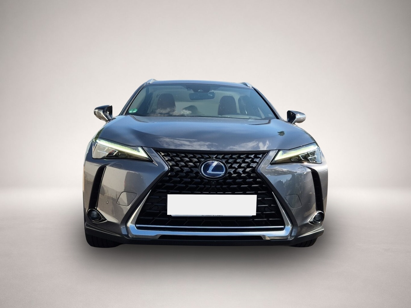 Bild 5 Lexus UX 250h Luxury Line Matrix LED Pano Memory Kam