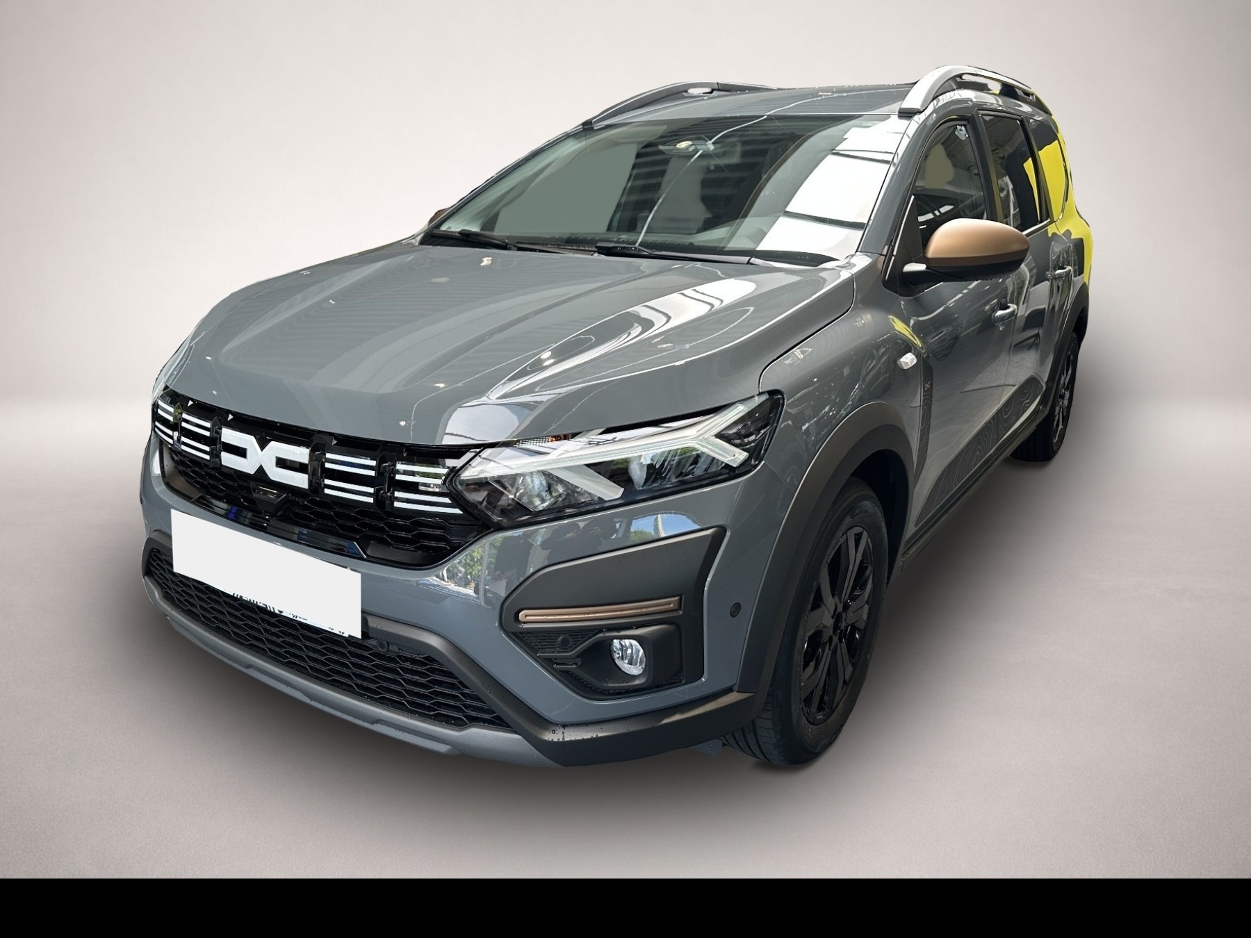 Bild Jogger Dacia