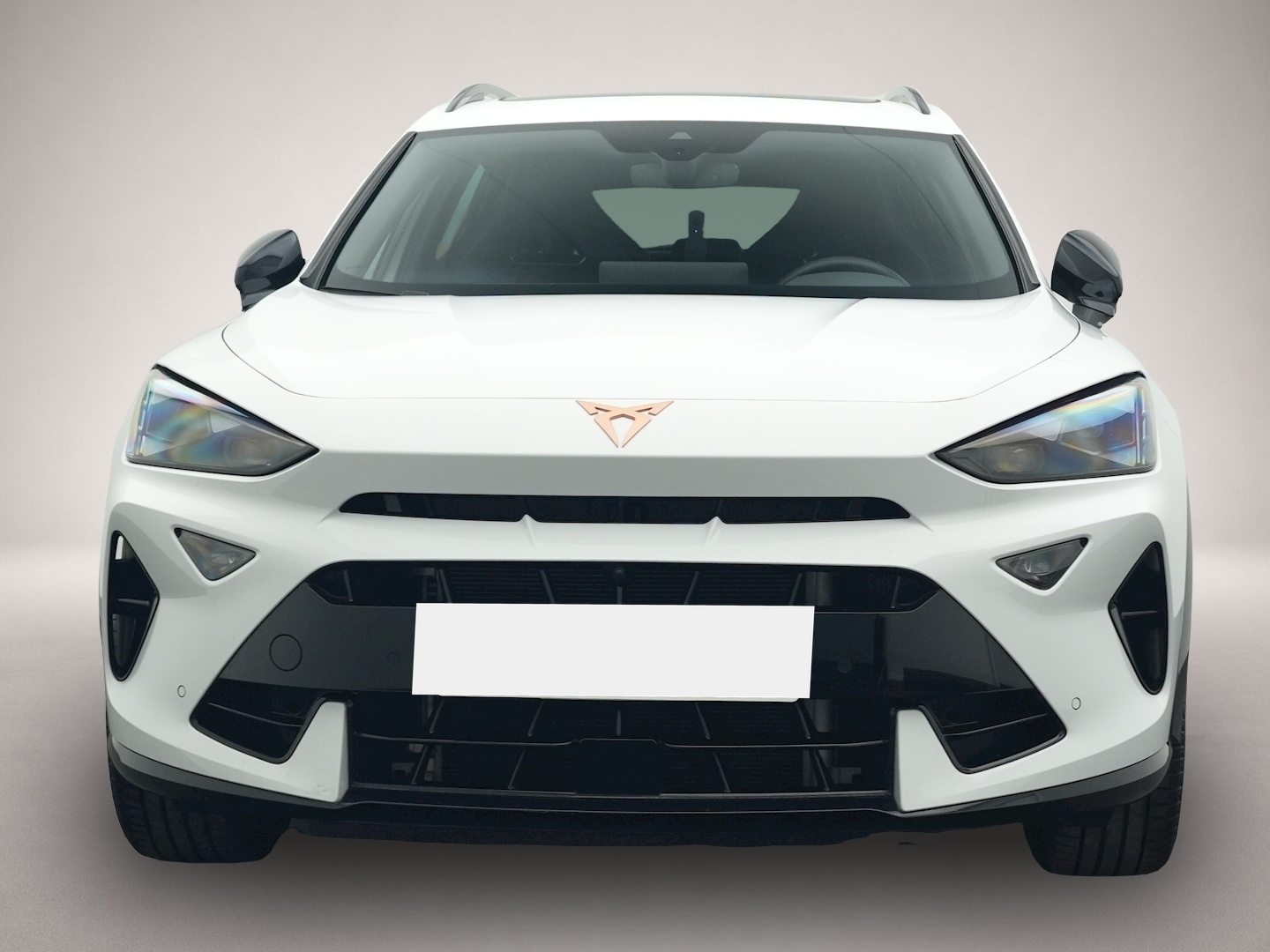 Fotografie des Cupra Formentor 2.0 TSI DSG 4Dr. VZ 5-J-GAR PANO AHK S