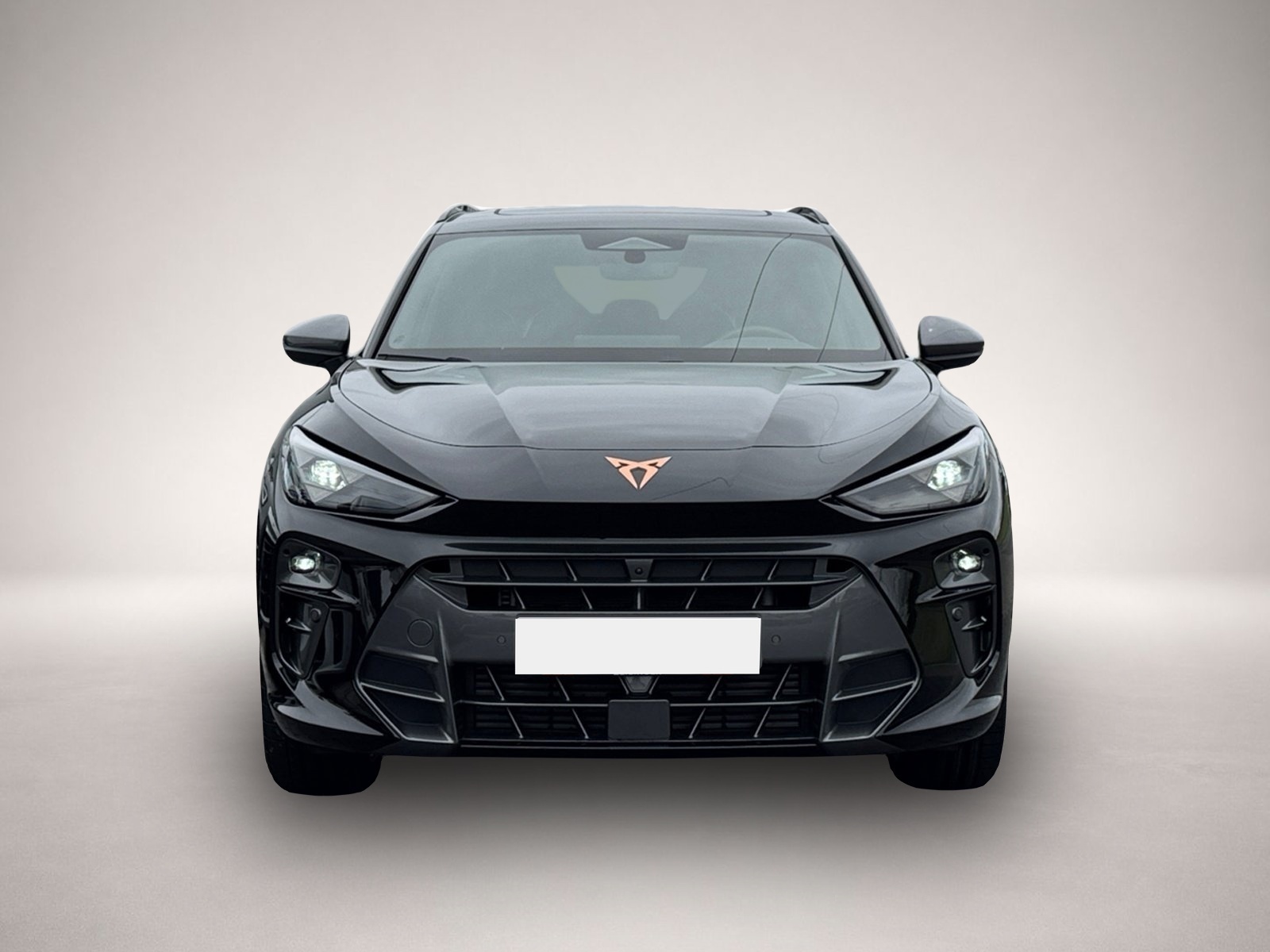 Bild 2 Cupra Terramar VZ 4Drive TSI DSG|AHK|PANO|5-J-GARANTIE