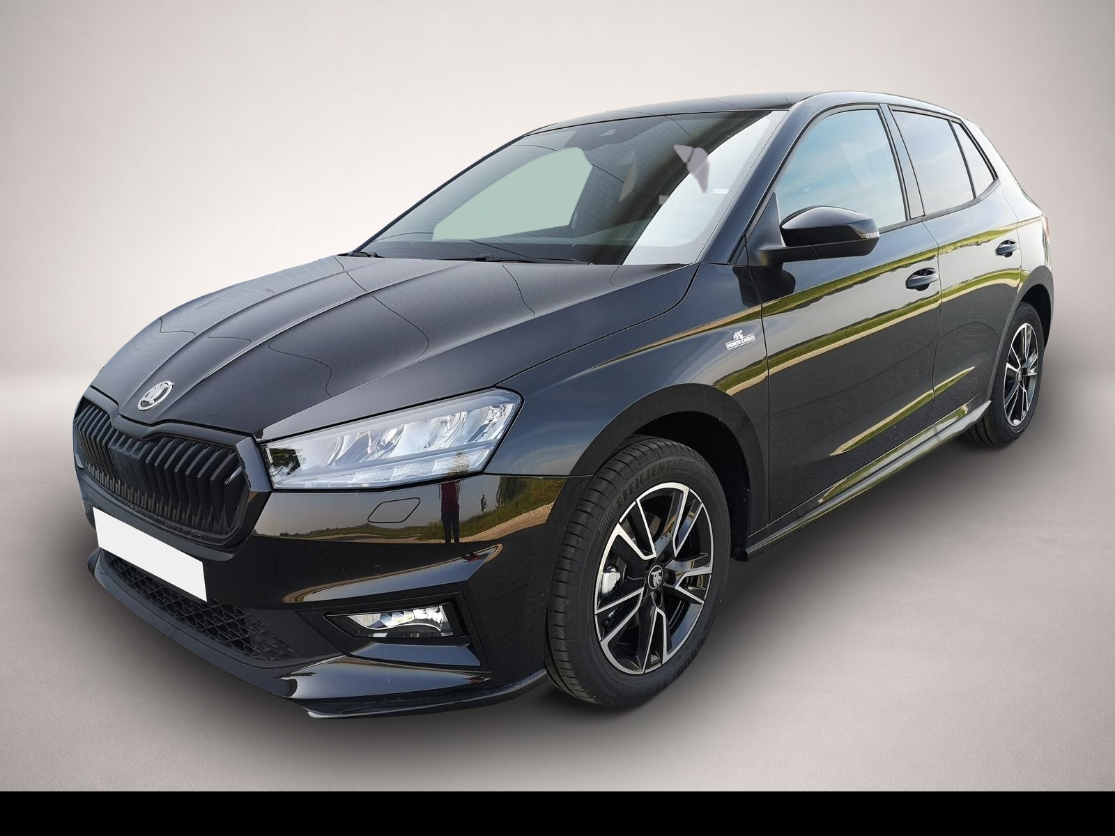Fotografie Skoda Fabia 1.0 TSI Monte Carlo ACC Kamera Sitzh GV5