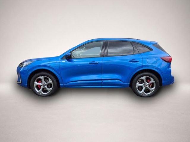 Bild Kuga Ford