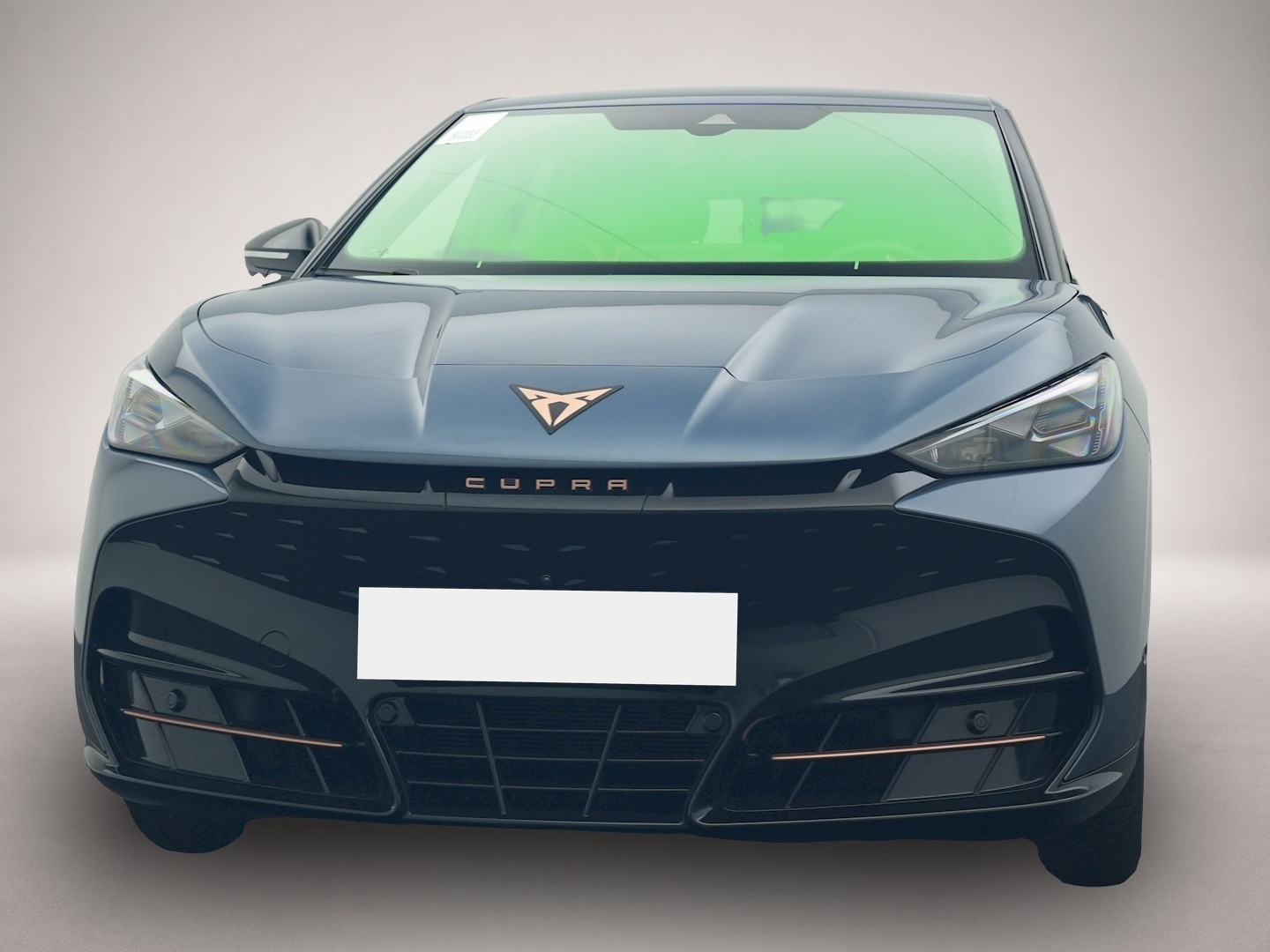 Bild 8 Cupra Tavascan Endurance 360 WÄPU eHECK NAVI