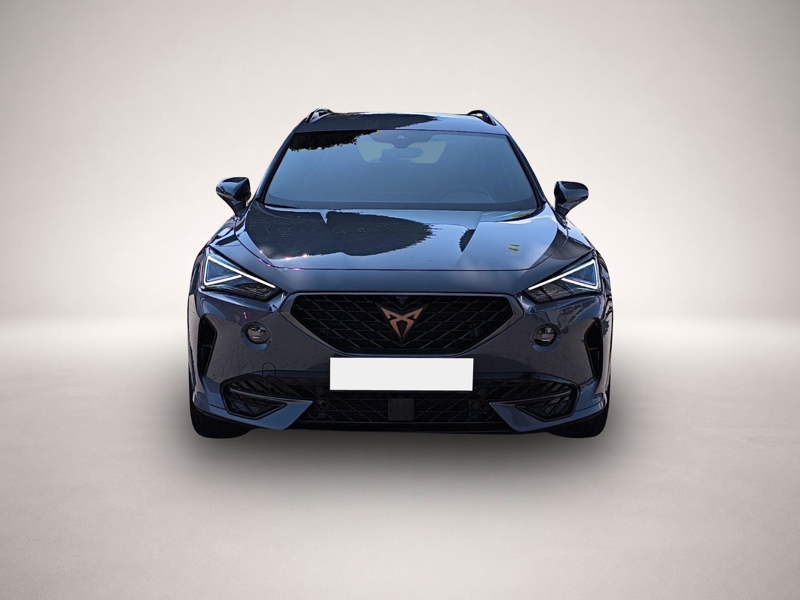 Bild 2 Cupra Formentor 1.4 e-HYBRID DSG VZ MATRIX-LED+AHK+TOP