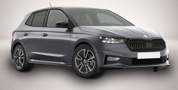 Bild 1 Skoda Fabia 1.0TSI DSG Monte Carlo Alufelgen 16 Proxim