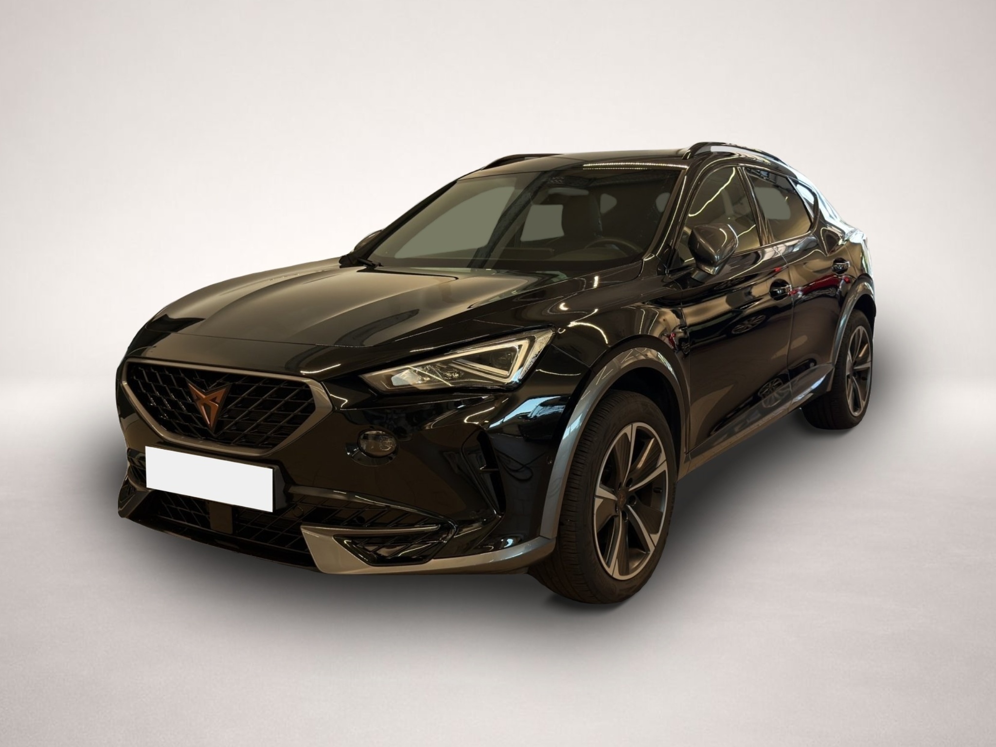 Fotografie Cupra Formentor 1.5 TSI DSG NAVI+KAMERA+BEATS+ACC+LED+