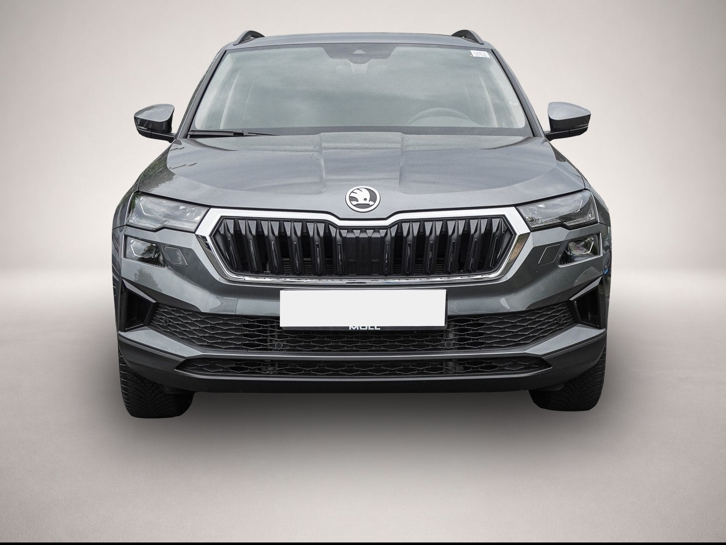 Bild 2 Skoda Karoq 2.0 TDI DSG Selection Tour