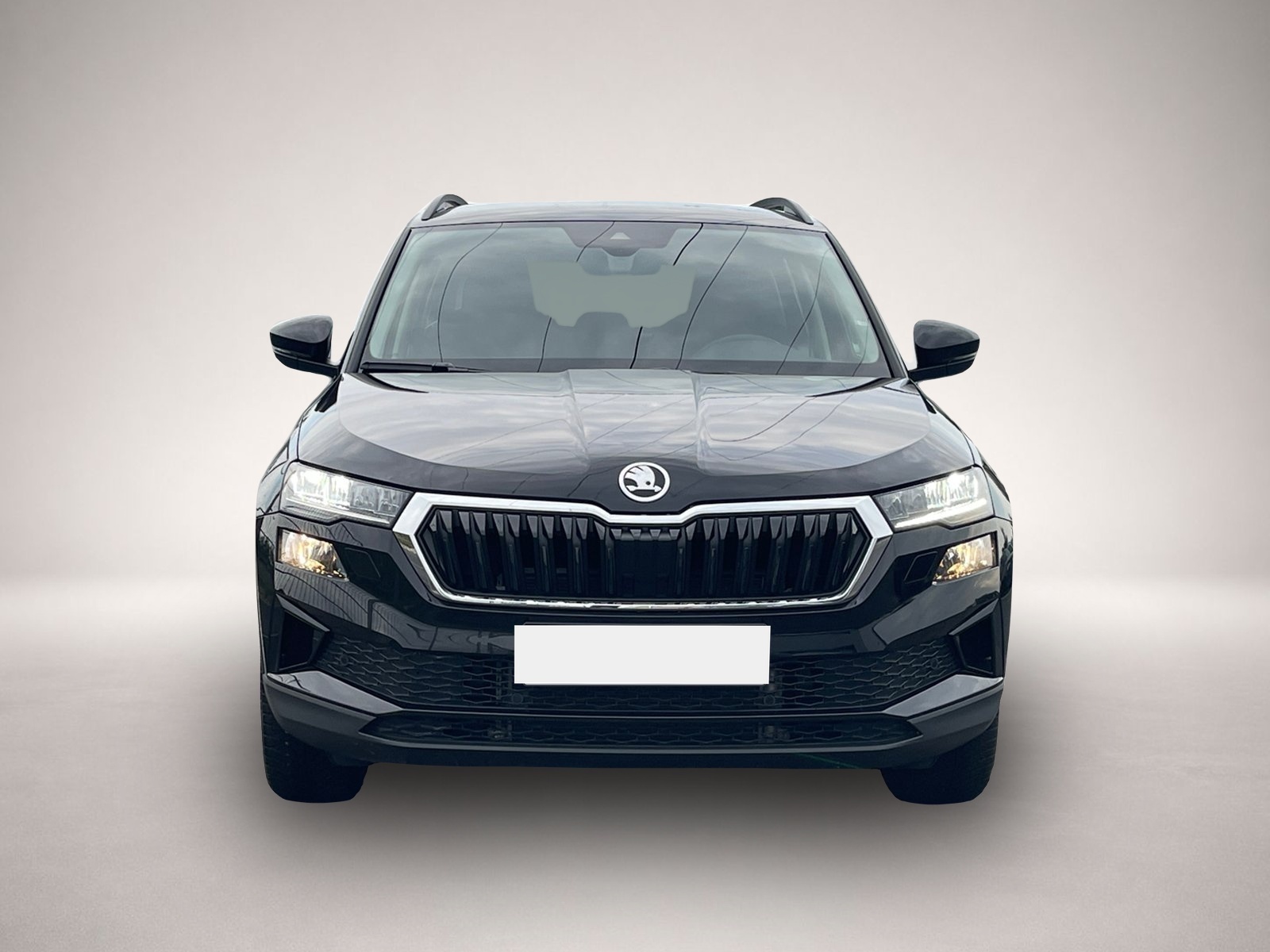 Bild 2 Skoda Karoq Selection TSI DSG|AHK|KAMERA|NAVI|WINTER-P