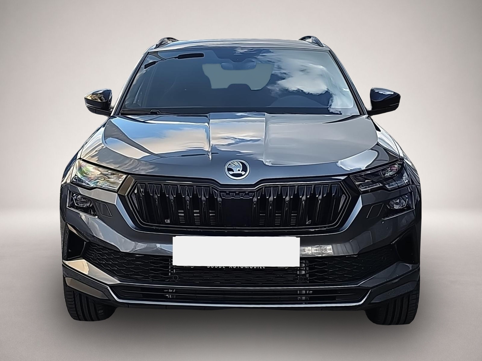 Bild 2 Skoda Karoq 2.0 TSI DSG Sportline 4x4 AHK Travel Ass.